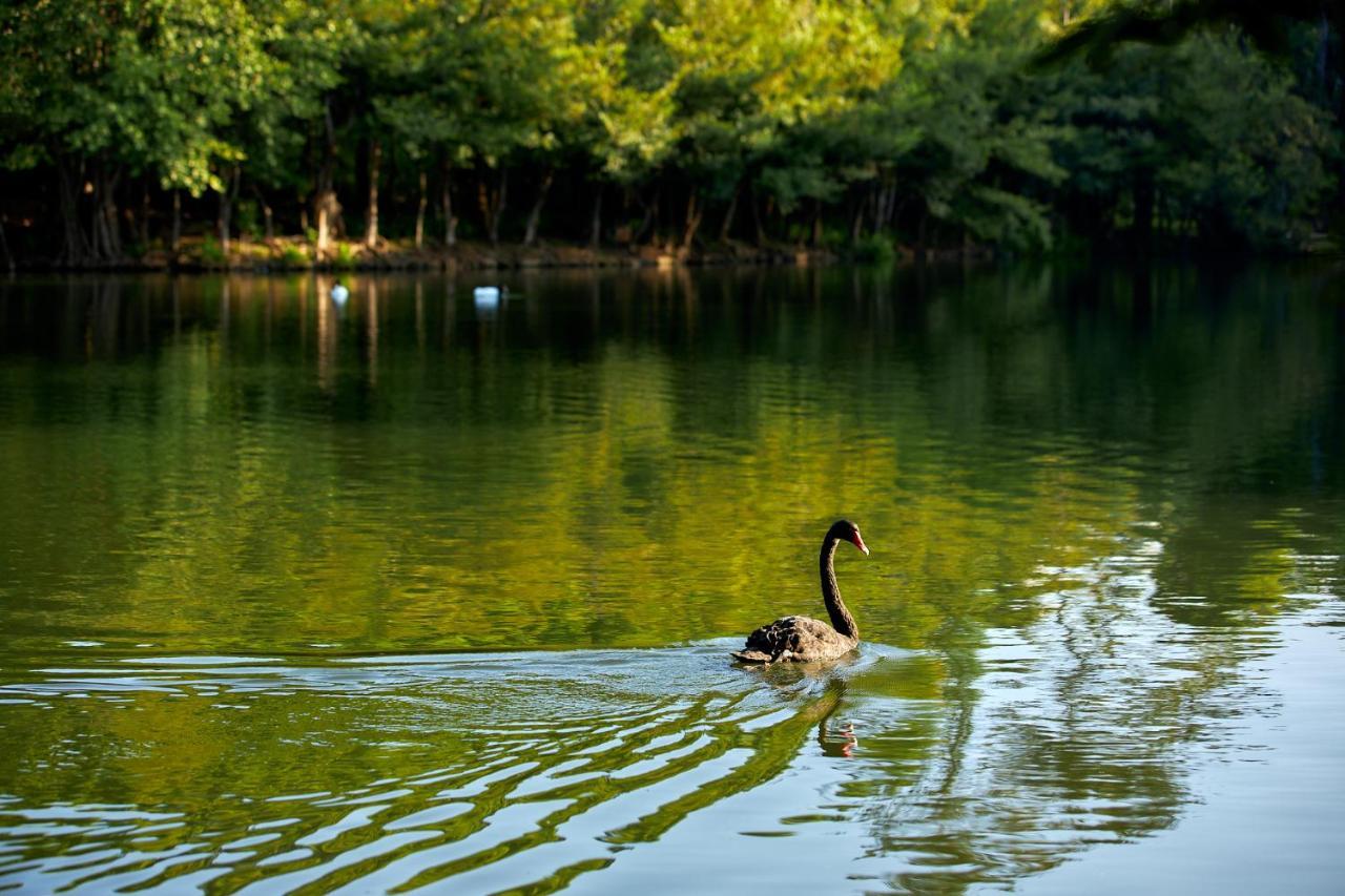 Intercontinental Khao Yai Resort By Ihg Pak Chong 外观 照片